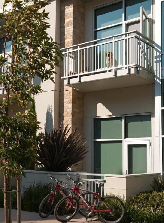 /static/images/house/24406/10d450d7545d6359589da4e1eb441641.jpg