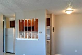 /static/images/house/31794/39b6ff06ff28d2fcd4b7f147fbcae104.jpg
