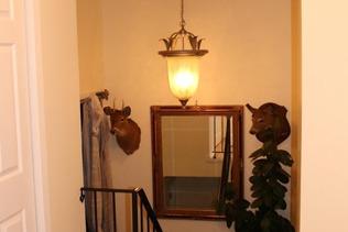 /static/images/house/36446/5fac75b654b9f9c883fe6508e04e6b0f.jpg