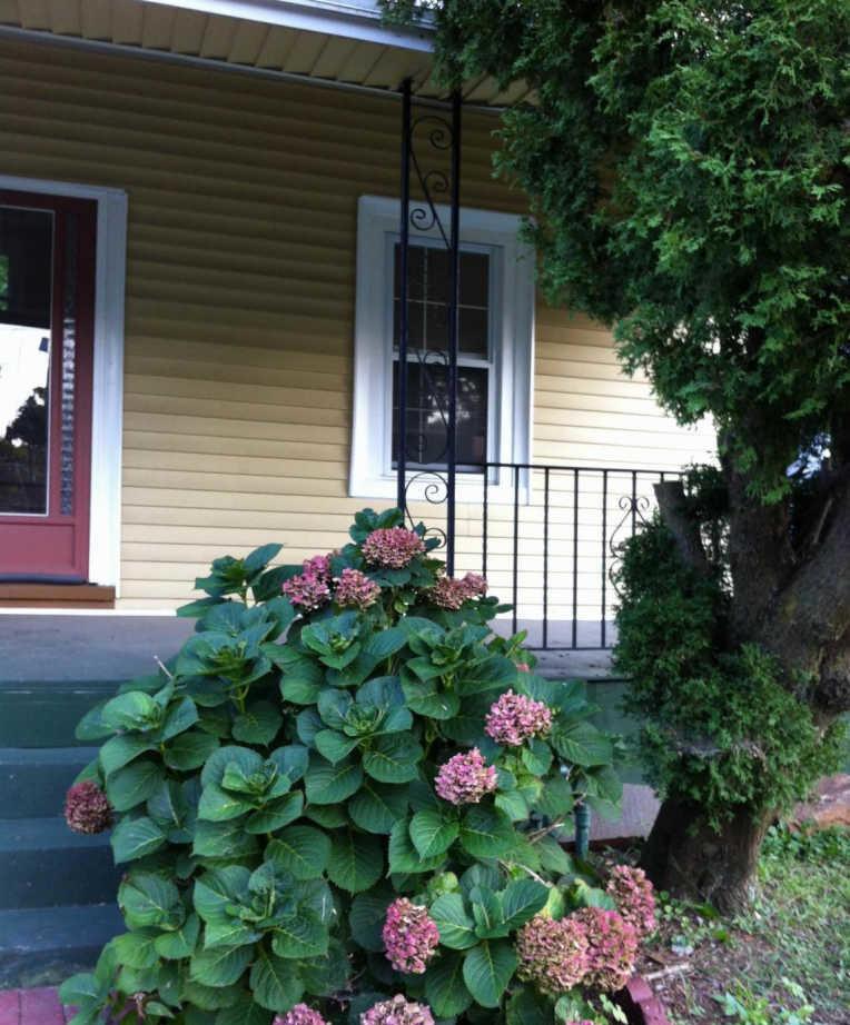 /static/images/house/3948/51c7fe0f8eb5ac91e7a49327cf9cce73.jpg